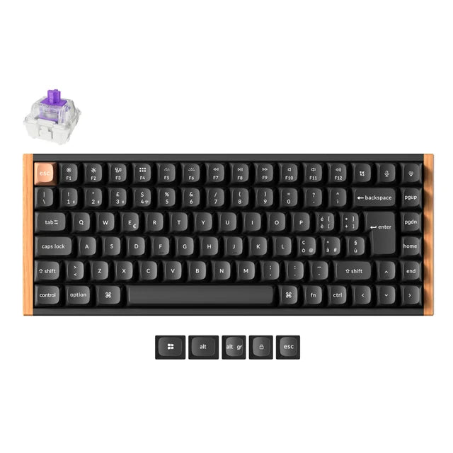 Clavier personnalisé Keychron K2 HE sans fil à interrupteur magnétique Collection disposition ISO