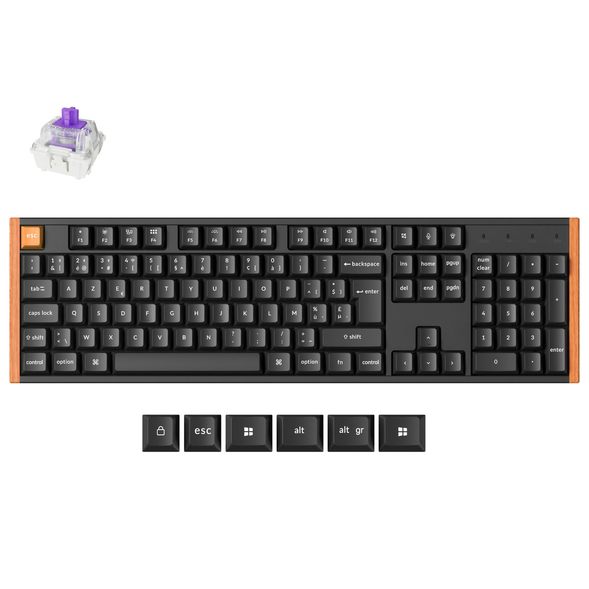 Clavier personnalisé Keychron K10 HE sans fil à interrupteur magnétique Collection disposition ISO