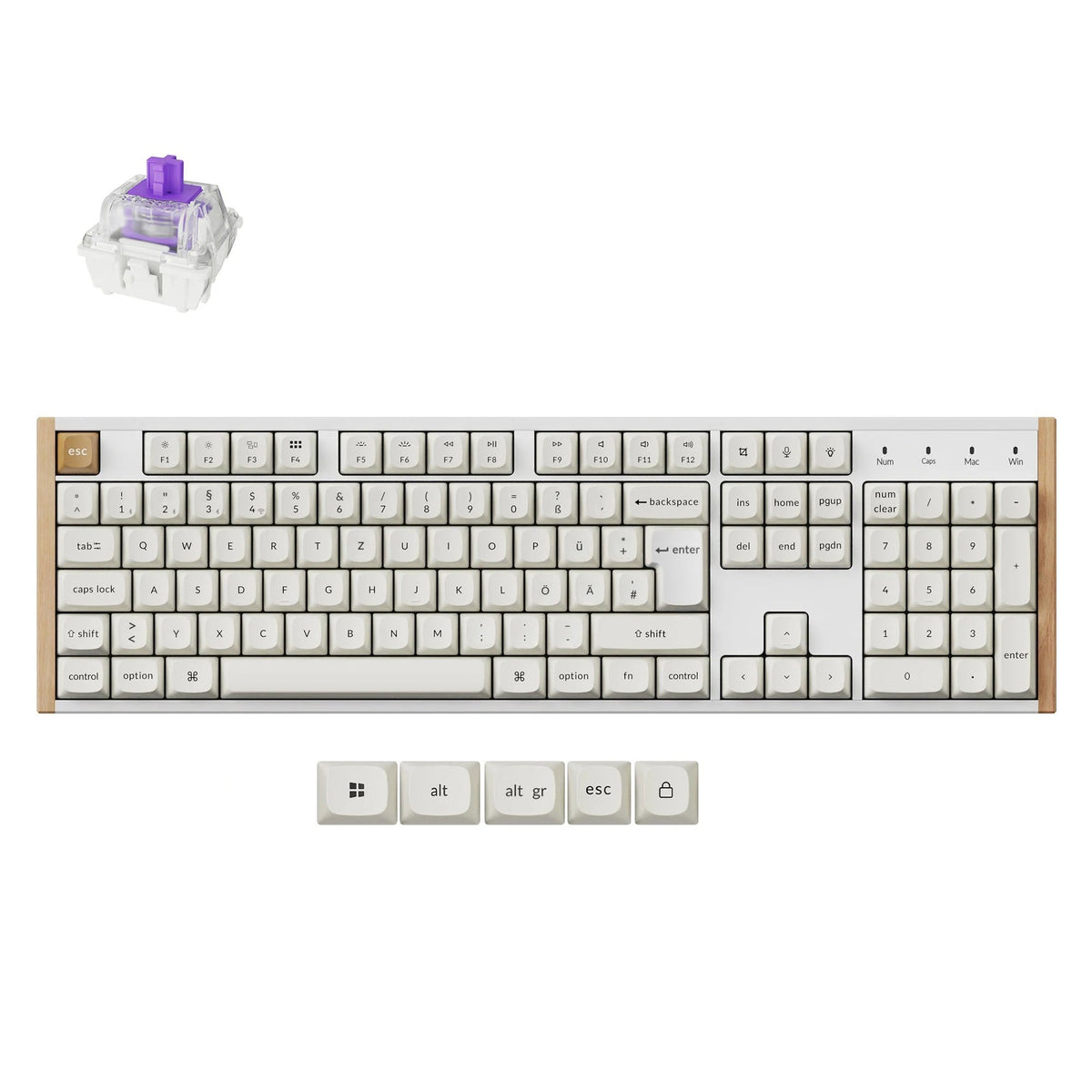 Clavier personnalisé Keychron K10 HE sans fil à interrupteur magnétique Collection disposition ISO