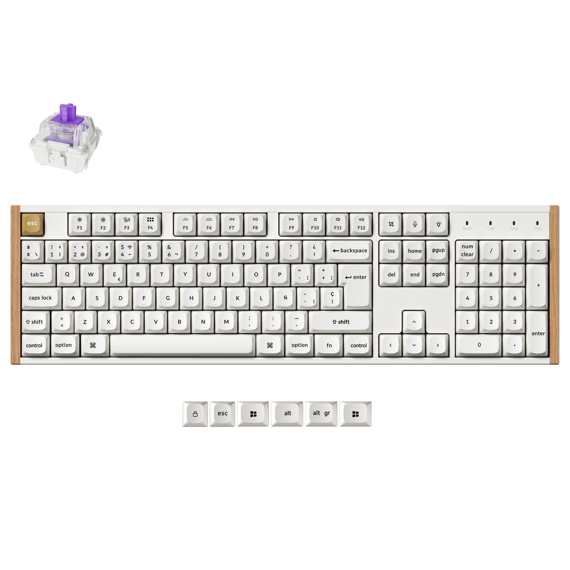 Clavier personnalisé Keychron K10 HE sans fil à interrupteur magnétique Collection disposition ISO