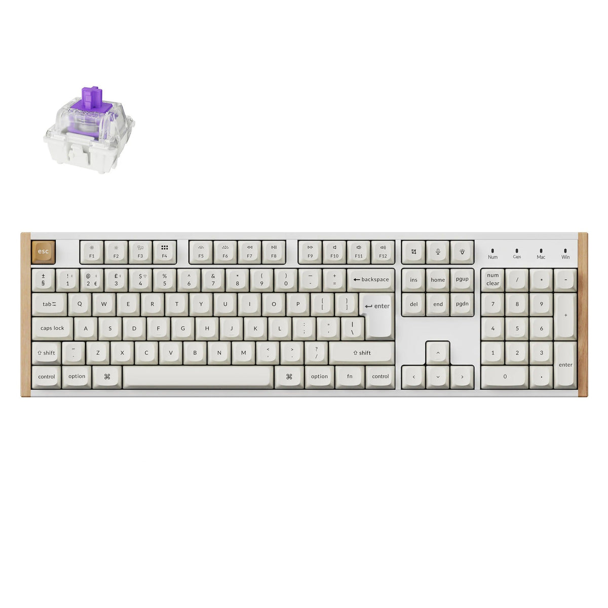 Clavier personnalisé Keychron K10 HE sans fil à interrupteur magnétique Collection disposition ISO