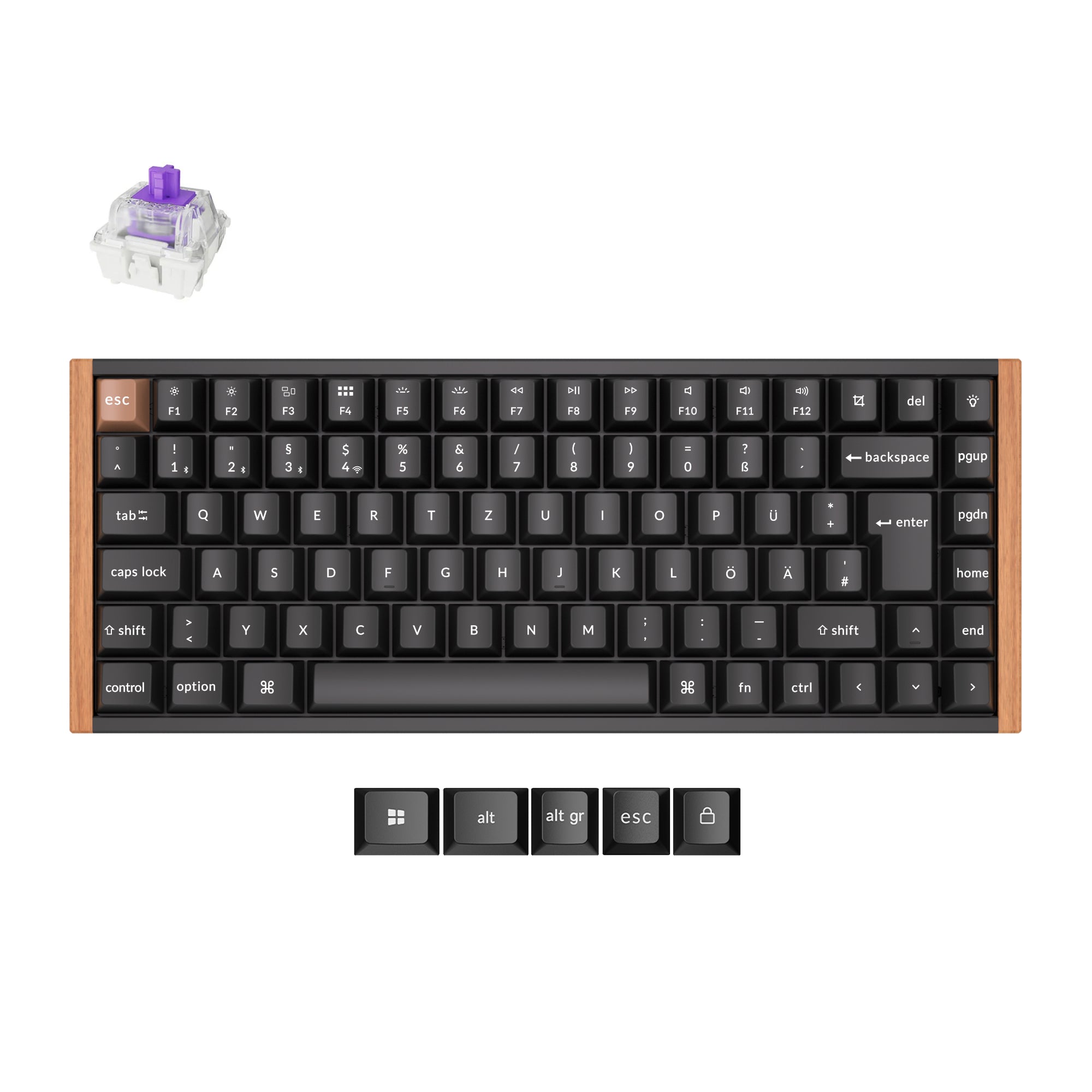 Clavier personnalisé Keychron K2 HE sans fil à interrupteur magnétique Collection disposition ISO