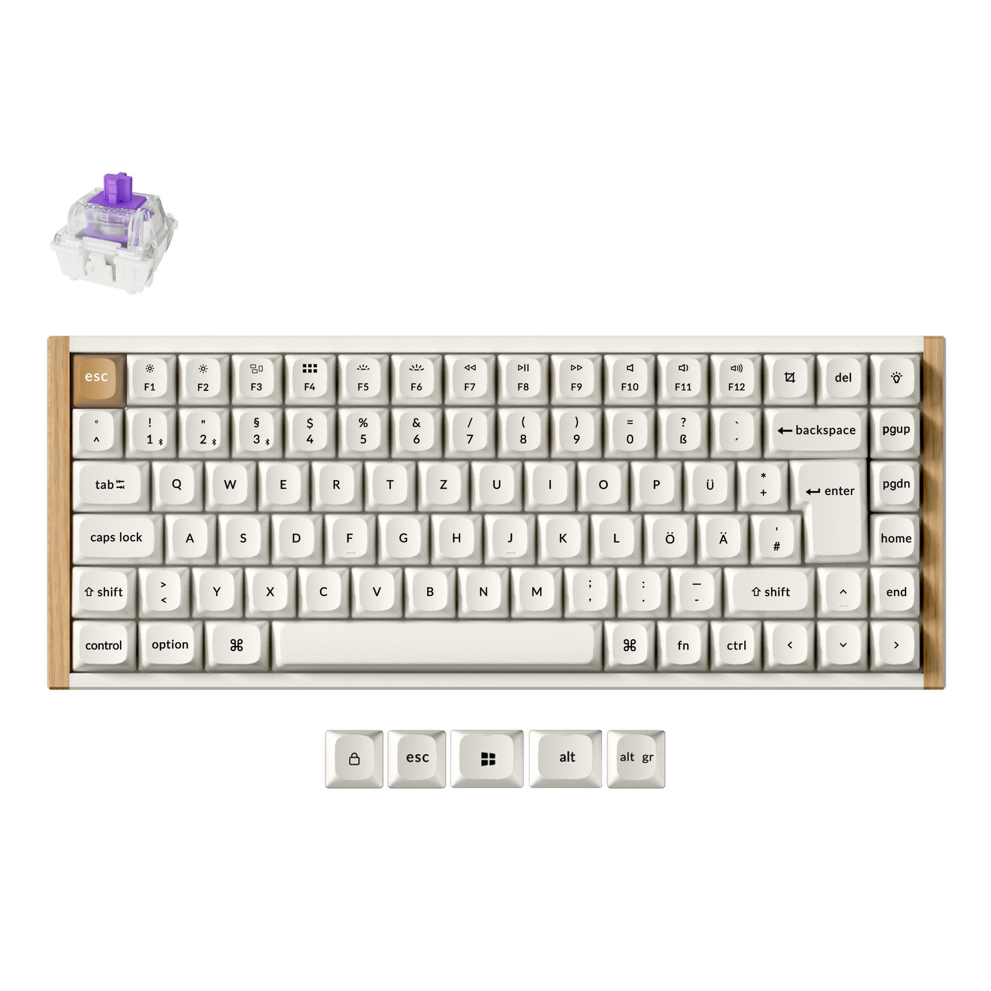 Clavier personnalisé Keychron K2 HE sans fil à interrupteur magnétique Collection disposition ISO