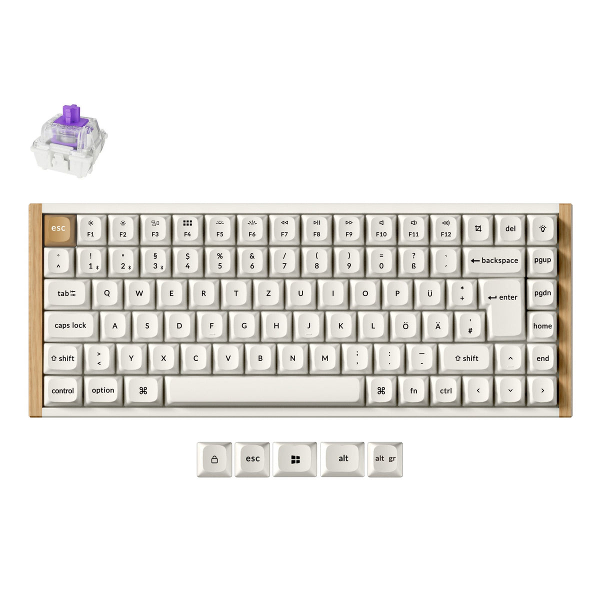 Clavier personnalisé Keychron K2 HE sans fil à interrupteur magnétique Collection disposition ISO