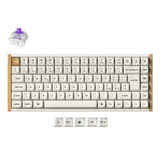 Clavier personnalisé Keychron K2 HE sans fil à interrupteur magnétique Collection disposition ISO