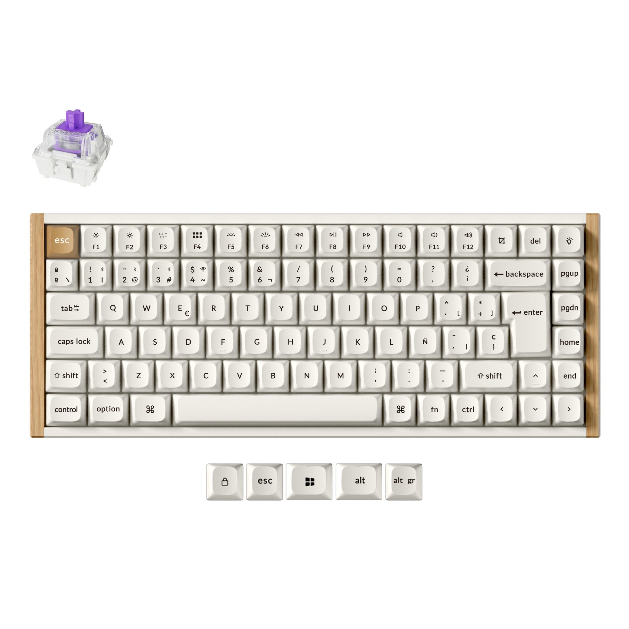 Clavier personnalisé Keychron K2 HE sans fil à interrupteur magnétique Collection disposition ISO