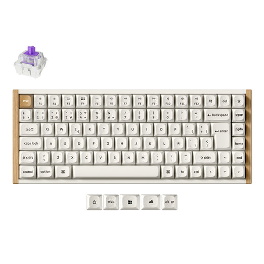 Clavier personnalisé Keychron K2 HE sans fil à interrupteur magnétique Collection disposition ISO