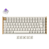 Keychron K2 HE Wireless Magnetic Switch Custom Keyboard ISO Layout Collection