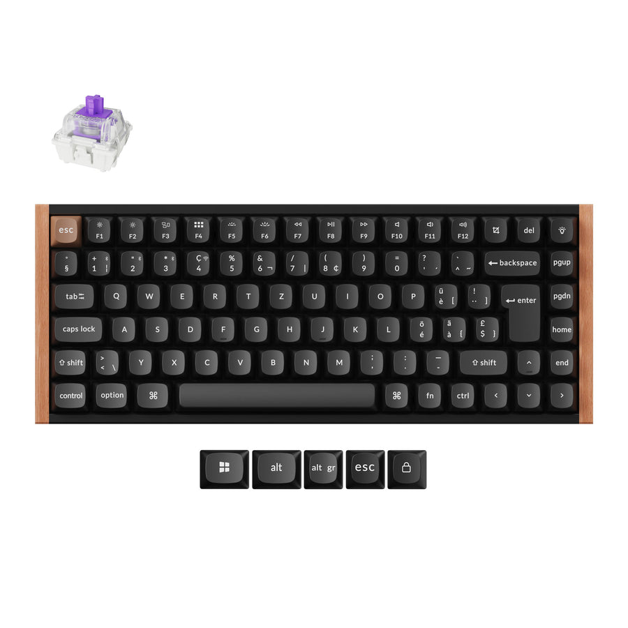 Clavier personnalisé Keychron K2 HE sans fil à interrupteur magnétique Collection disposition ISO