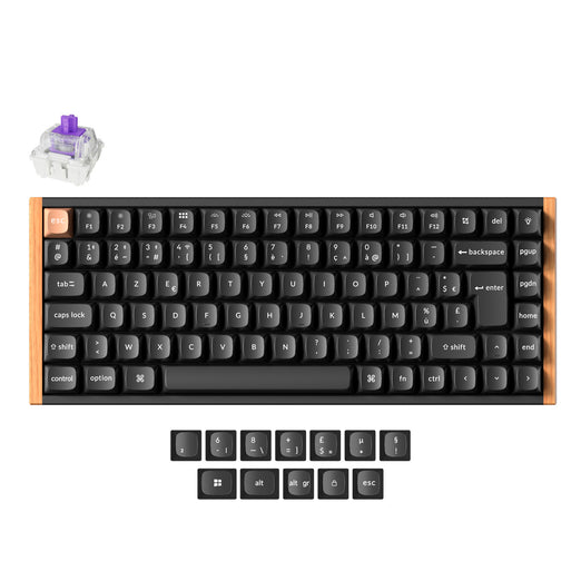 Clavier personnalisé Keychron K2 HE sans fil à interrupteur magnétique Collection disposition ISO