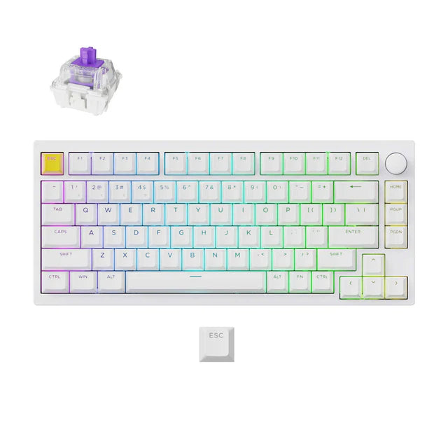 Clavier de jeu personnalisé avec interrupteur magnétique sans fil Lemokey P1 HE (disposition US ANSI)