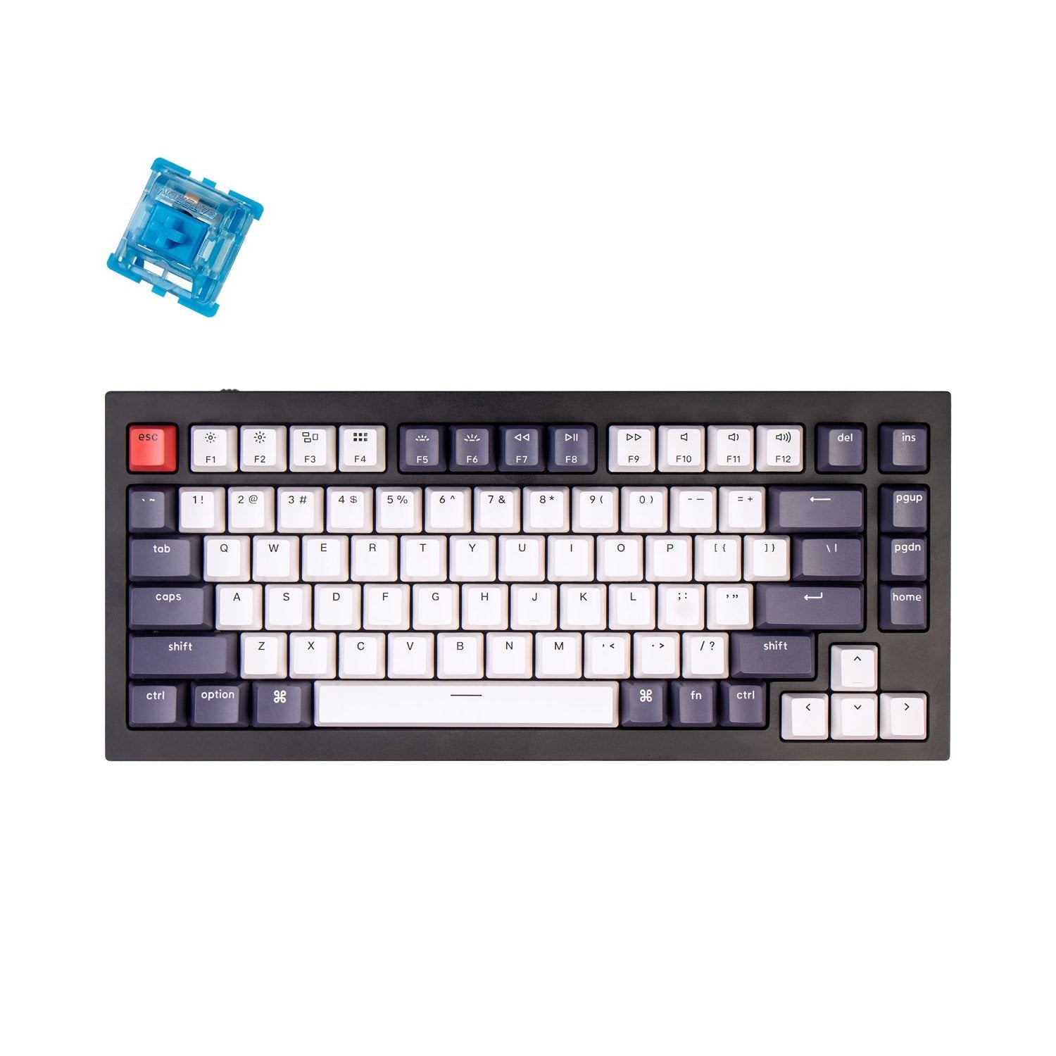 Clavier mécanique personnalisé filaire Keychron Q1 QMK (disposition US ANSI)
