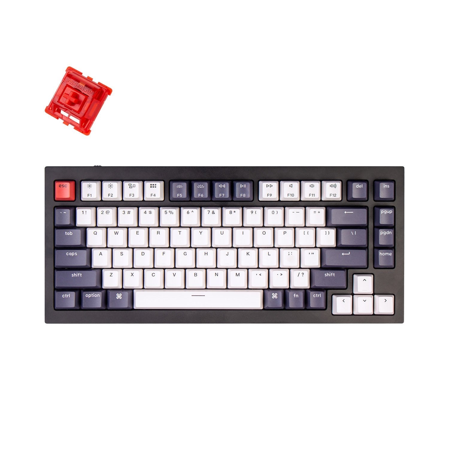 Clavier mécanique personnalisé filaire Keychron Q1 QMK (disposition US ANSI)