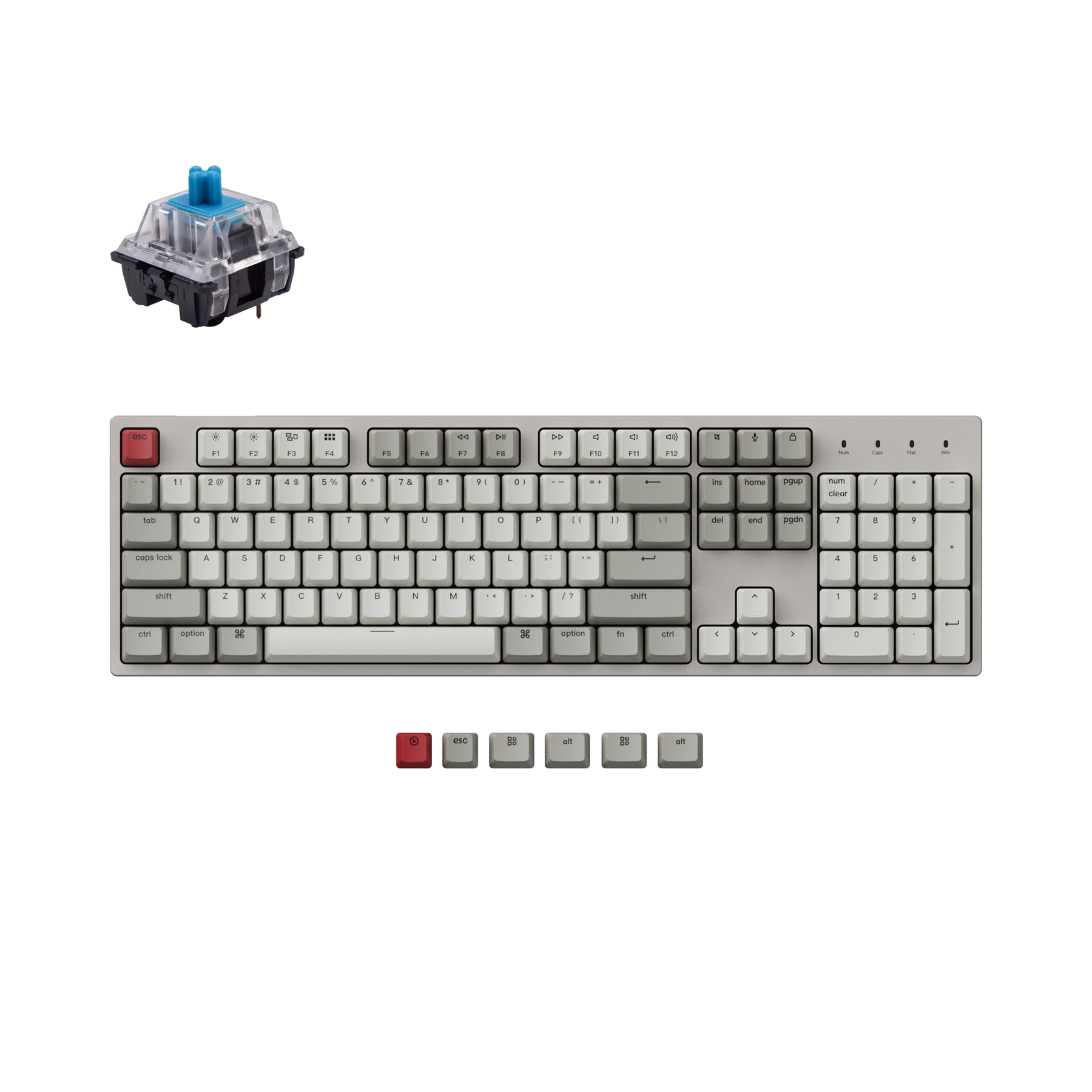 Clavier mécanique filaire Keychron C2 (disposition US ANSI)