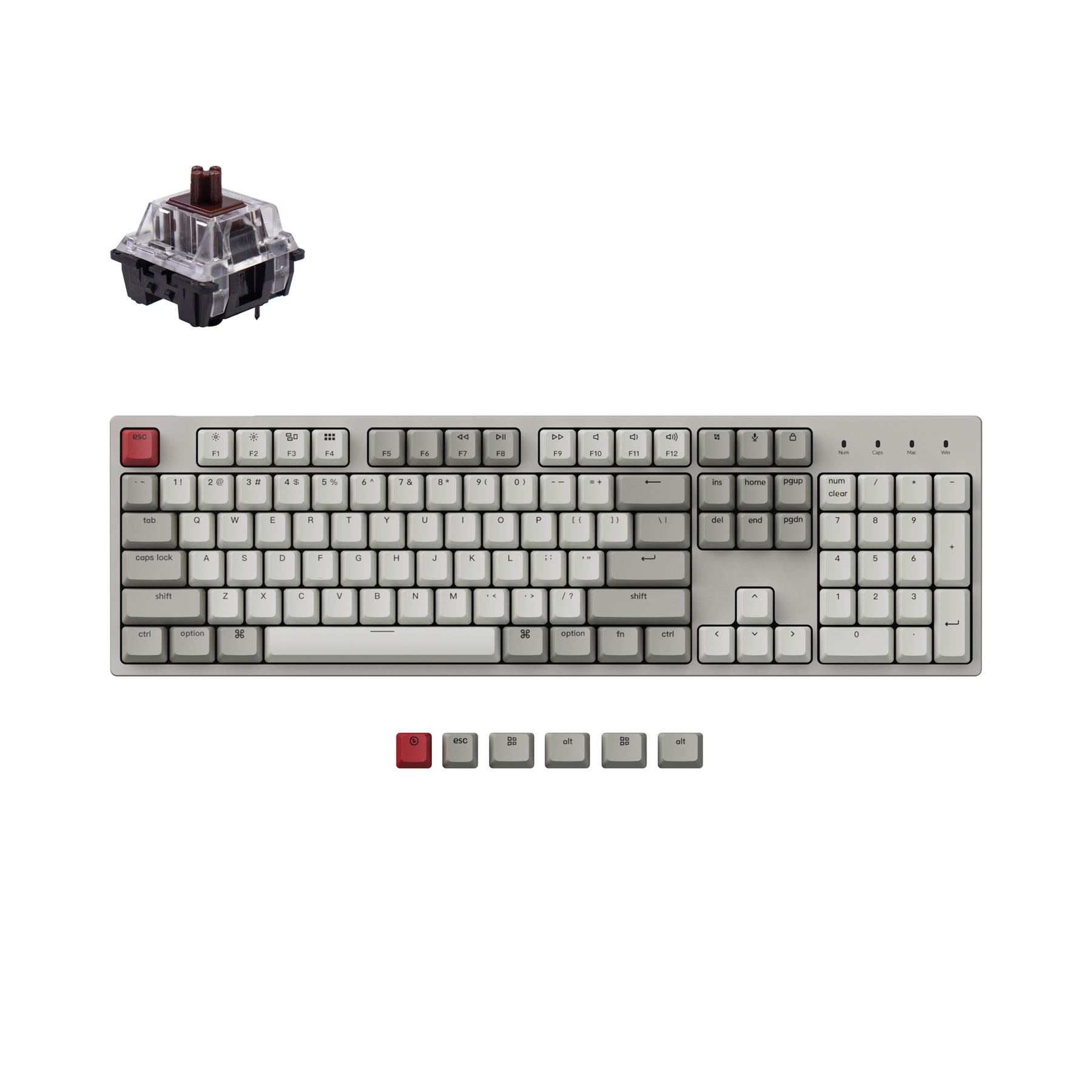 Clavier mécanique filaire Keychron C2 (disposition US ANSI)