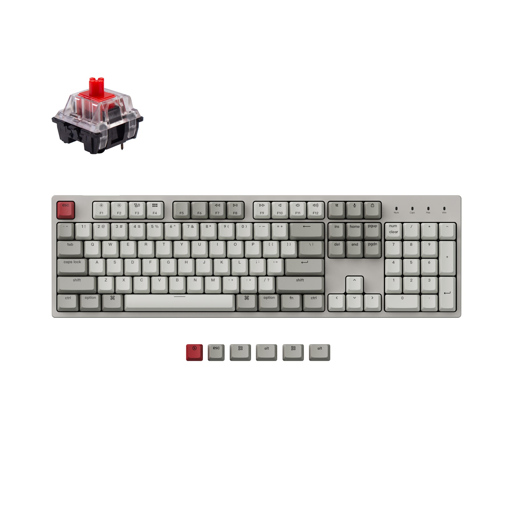 Clavier mécanique filaire Keychron C2 (disposition US ANSI)