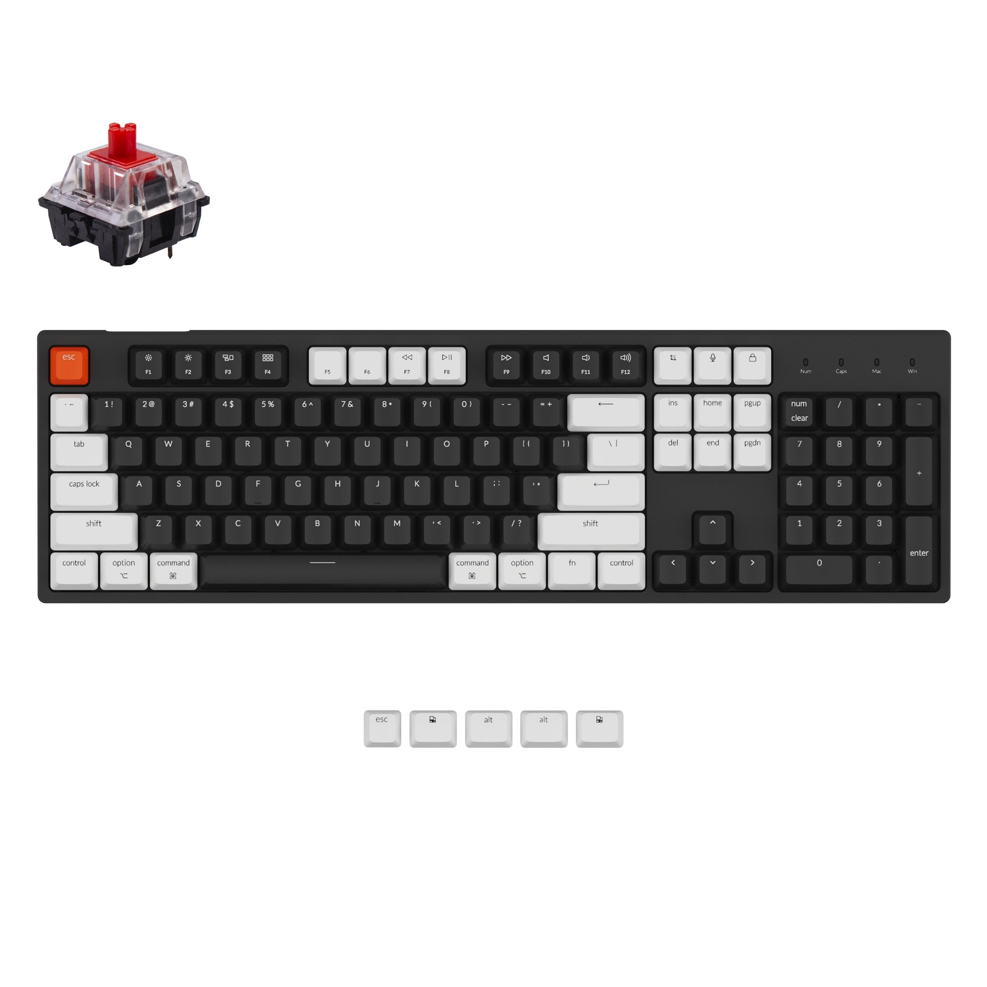 Clavier mécanique filaire Keychron C2 (disposition US ANSI)