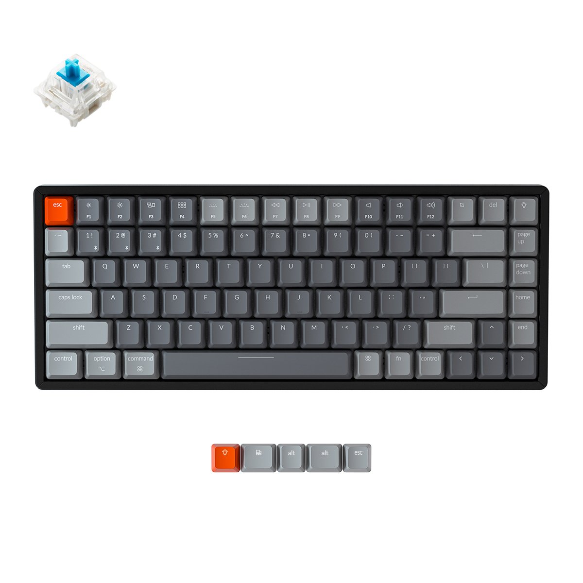 Keychron C2 Color Keychron C2 Pro QMK/VIA Wired Mechanical Keyboard (US ANSI Layout ...