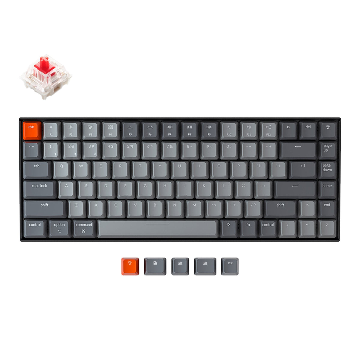 Normal Profile Keyboards – Keychron France
