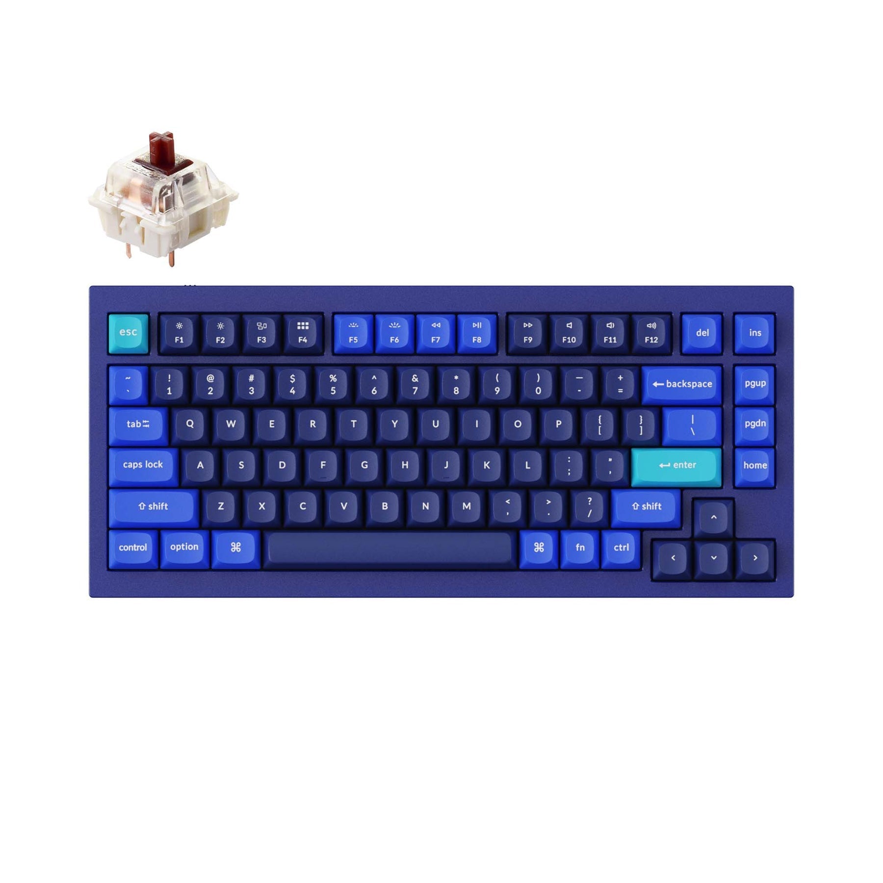 Clavier mécanique personnalisé filaire Keychron Q1 QMK - Version 2 (disposition US ANSI)