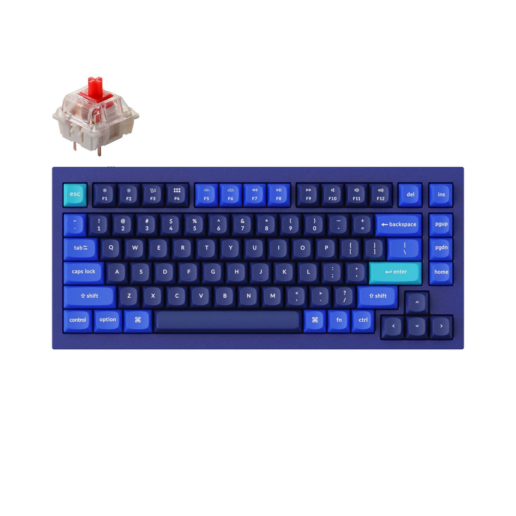 Clavier mécanique personnalisé filaire Keychron Q1 QMK - Version 2 (disposition US ANSI)