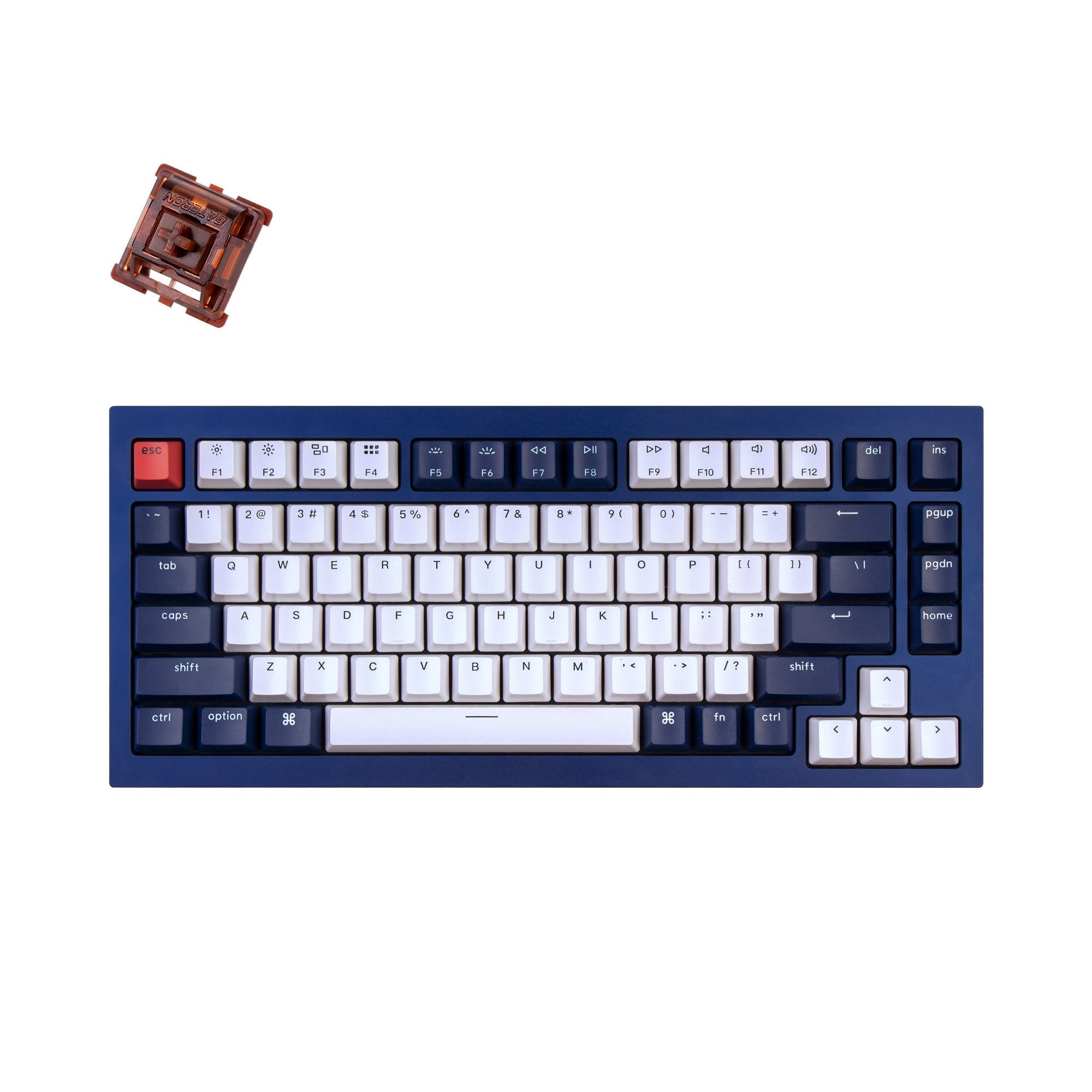 Clavier mécanique personnalisé filaire Keychron Q1 QMK (disposition US ANSI)