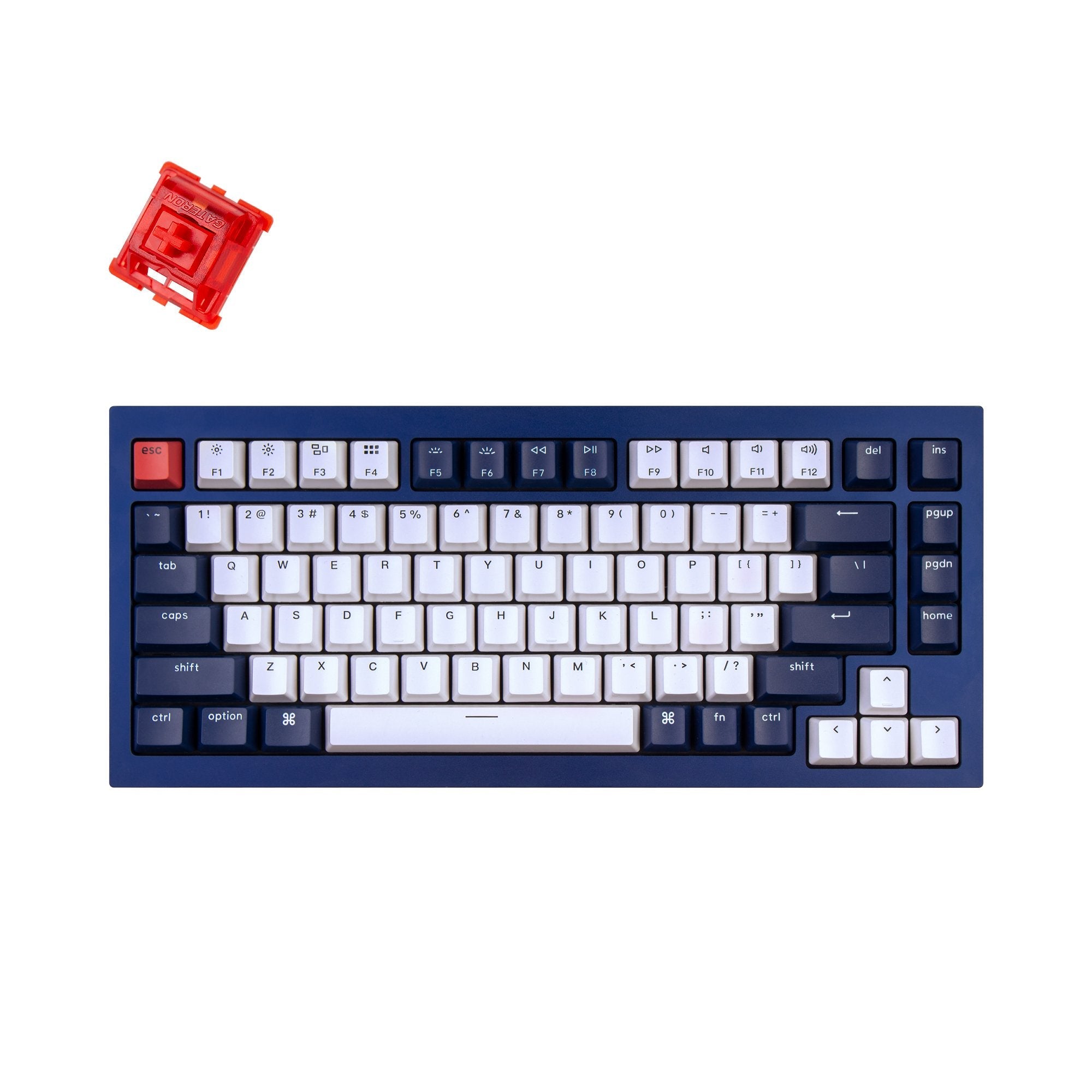 Clavier mécanique personnalisé filaire Keychron Q1 QMK (disposition US ANSI)